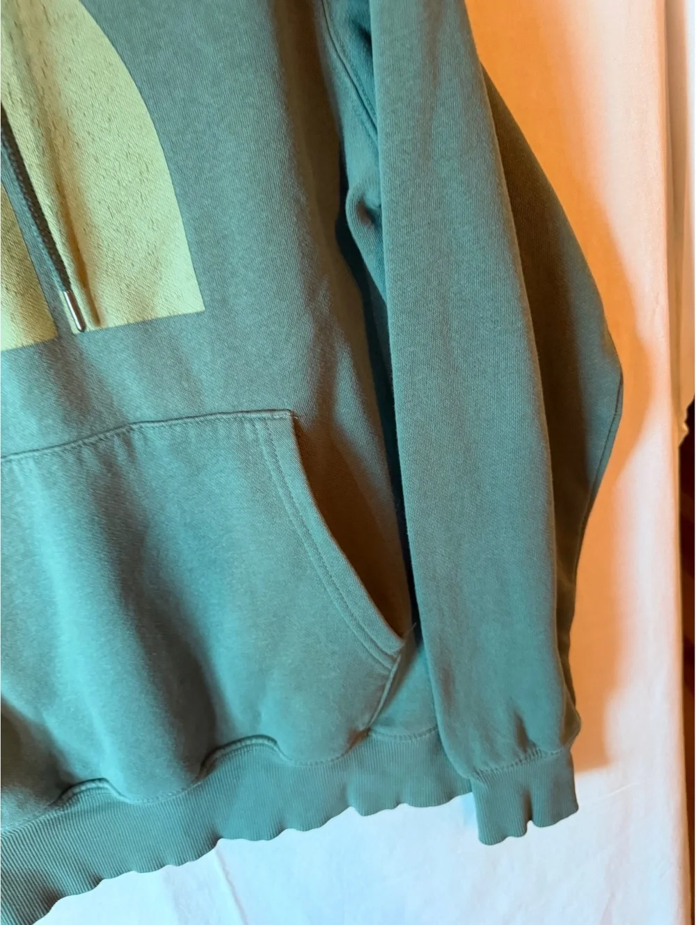 The North Face Men's Hoodie Sweatshirt Size Small Sage Green
